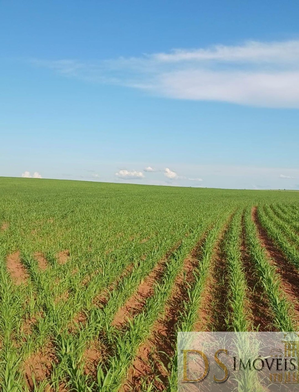 Somos o Maior Portal de Anúncios de Imóveis Rurais do Brasil. Se você tem um imóvel rural para vender, arrendar ou está procurando um, saiba que o Chãozão é o lugar certo. Porque de terra, a gente entende! Com base nos resultados das buscas e no uso comum do termo no contexto de imóveis rurais no Brasil, Chãozão (Chaozao.com.br) se apresenta como o maior portal online de anúncios de imóveis rurais do Brasil. Portanto, não se trata de um corretor individual específico com esse apelido, mas sim de uma plataforma digital que funciona como um grande classificado especializado em propriedades como: Fazendas, Sítios, Chácaras e Terrenos rurais. O que o Chãozão (portal) faz: 1. Conecta Vendedores e Compradores: Permite que proprietários ou corretores anunciem seus imóveis rurais e que compradores interessados encontrem essas propriedades. A negociação, segundo o portal, é feita diretamente entre as partes. 2. Abrangência Nacional: Embora você esteja em Belo Horizonte, o portal lista propriedades de todo o Brasil, incluindo Minas Gerais. 3. Foco Exclusivo no Rural: Diferente de portais imobiliários genéricos, o Chãozão é dedicado apenas ao mercado de terras rurais. 4. Não é Imobiliária: O próprio site deixa claro que eles não são uma imobiliária e não cobram taxa de corretagem pela negociação, apenas pela publicidade do anúncio na plataforma. Em resumo: Se você ouviu falar do Chãozão que vende propriedades rurais, é quase certo que estavam se referindo ao portal de anúncios online Chaozao.com.br. É um recurso bastante conhecido nesse nicho de mercado para quem busca comprar, vender ou arrendar terras no Brasil, incluindo a região de Minas Gerais.