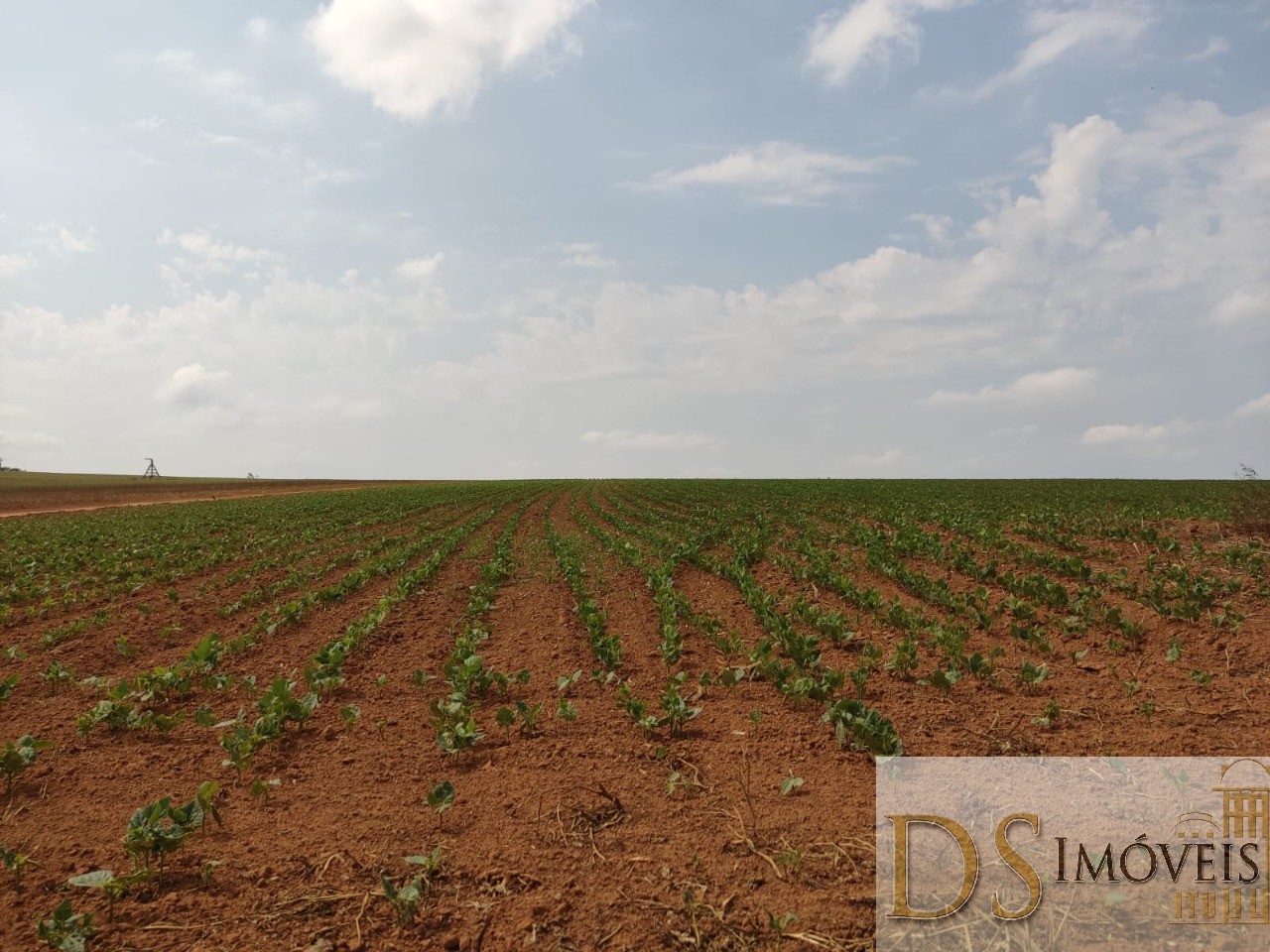 Fazenda em São Miguel Arcanjo/São Paulo — Ref 9B28JO — Imagem 9