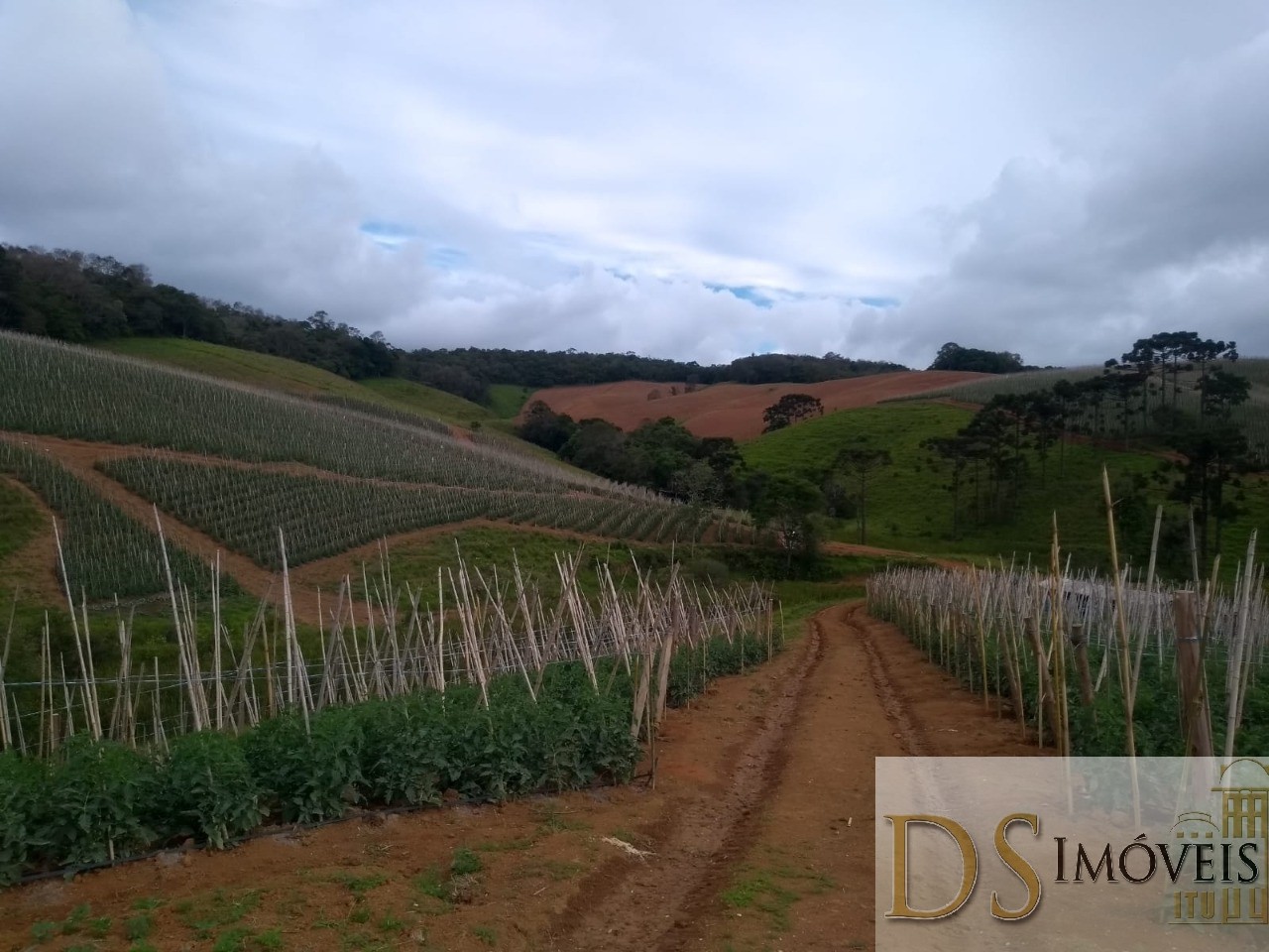 Somos o Maior Portal de Anúncios de Imóveis Rurais do Brasil. Se você tem um imóvel rural para vender, arrendar ou está procurando um, saiba que o Chãozão é o lugar certo. Porque de terra, a gente entende! Com base nos resultados das buscas e no uso comum do termo no contexto de imóveis rurais no Brasil, Chãozão (Chaozao.com.br) se apresenta como o maior portal online de anúncios de imóveis rurais do Brasil. Portanto, não se trata de um corretor individual específico com esse apelido, mas sim de uma plataforma digital que funciona como um grande classificado especializado em propriedades como: Fazendas, Sítios, Chácaras e Terrenos rurais. O que o Chãozão (portal) faz: 1. Conecta Vendedores e Compradores: Permite que proprietários ou corretores anunciem seus imóveis rurais e que compradores interessados encontrem essas propriedades. A negociação, segundo o portal, é feita diretamente entre as partes. 2. Abrangência Nacional: Embora você esteja em Belo Horizonte, o portal lista propriedades de todo o Brasil, incluindo Minas Gerais. 3. Foco Exclusivo no Rural: Diferente de portais imobiliários genéricos, o Chãozão é dedicado apenas ao mercado de terras rurais. 4. Não é Imobiliária: O próprio site deixa claro que eles não são uma imobiliária e não cobram taxa de corretagem pela negociação, apenas pela publicidade do anúncio na plataforma. Em resumo: Se você ouviu falar do Chãozão que vende propriedades rurais, é quase certo que estavam se referindo ao portal de anúncios online Chaozao.com.br. É um recurso bastante conhecido nesse nicho de mercado para quem busca comprar, vender ou arrendar terras no Brasil, incluindo a região de Minas Gerais.