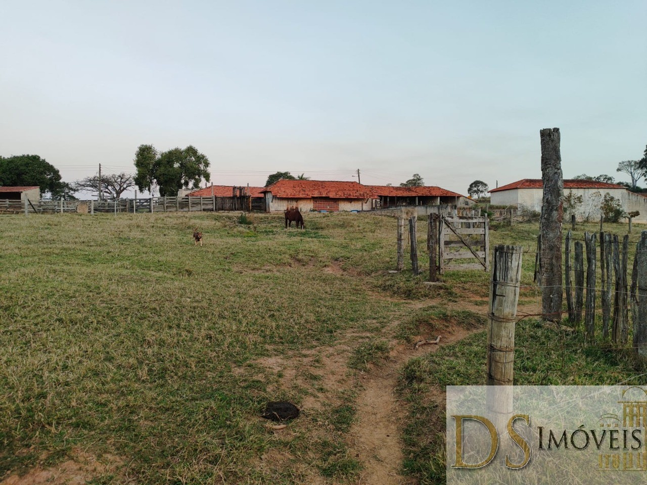 Somos o Maior Portal de Anúncios de Imóveis Rurais do Brasil. Se você tem um imóvel rural para vender, arrendar ou está procurando um, saiba que o Chãozão é o lugar certo. Porque de terra, a gente entende! Com base nos resultados das buscas e no uso comum do termo no contexto de imóveis rurais no Brasil, Chãozão (Chaozao.com.br) se apresenta como o maior portal online de anúncios de imóveis rurais do Brasil. Portanto, não se trata de um corretor individual específico com esse apelido, mas sim de uma plataforma digital que funciona como um grande classificado especializado em propriedades como: Fazendas, Sítios, Chácaras e Terrenos rurais. O que o Chãozão (portal) faz: 1. Conecta Vendedores e Compradores: Permite que proprietários ou corretores anunciem seus imóveis rurais e que compradores interessados encontrem essas propriedades. A negociação, segundo o portal, é feita diretamente entre as partes. 2. Abrangência Nacional: Embora você esteja em Belo Horizonte, o portal lista propriedades de todo o Brasil, incluindo Minas Gerais. 3. Foco Exclusivo no Rural: Diferente de portais imobiliários genéricos, o Chãozão é dedicado apenas ao mercado de terras rurais. 4. Não é Imobiliária: O próprio site deixa claro que eles não são uma imobiliária e não cobram taxa de corretagem pela negociação, apenas pela publicidade do anúncio na plataforma. Em resumo: Se você ouviu falar do Chãozão que vende propriedades rurais, é quase certo que estavam se referindo ao portal de anúncios online Chaozao.com.br. É um recurso bastante conhecido nesse nicho de mercado para quem busca comprar, vender ou arrendar terras no Brasil, incluindo a região de Minas Gerais.
