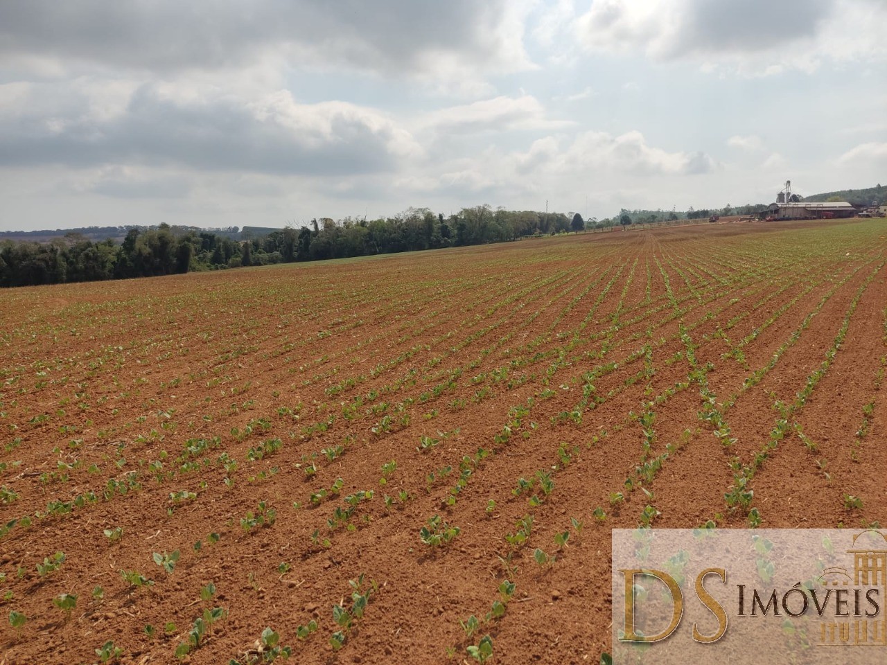 Fazenda em São Miguel Arcanjo/São Paulo — Ref 9B28JO — Imagem 16