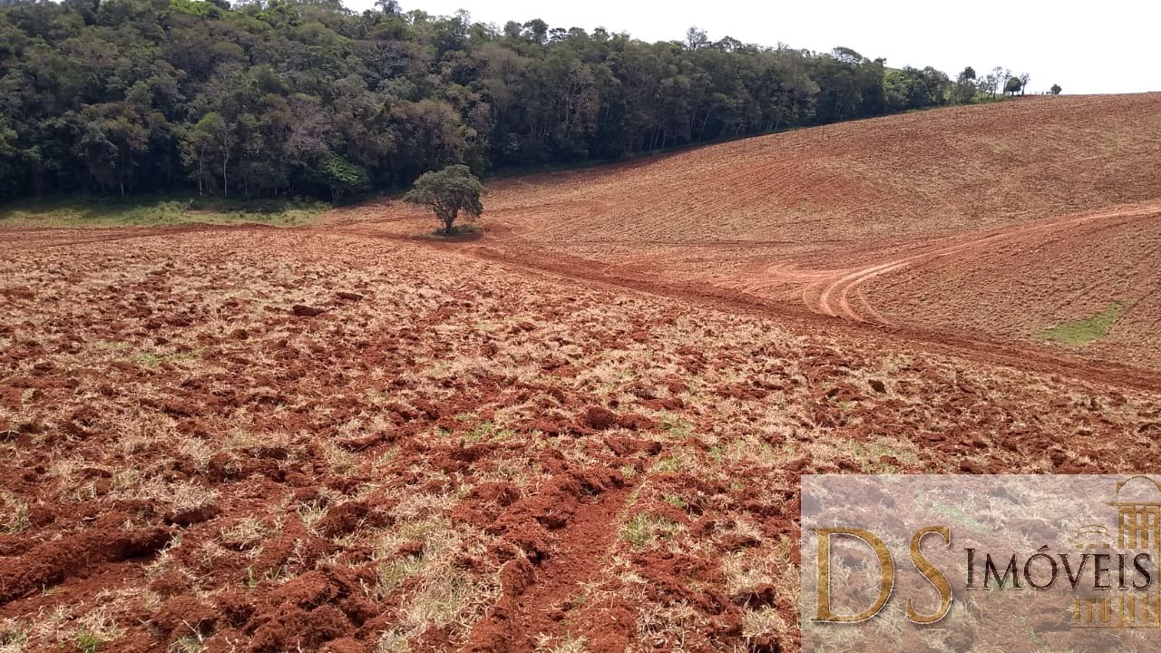 Somos o Maior Portal de Anúncios de Imóveis Rurais do Brasil. Se você tem um imóvel rural para vender, arrendar ou está procurando um, saiba que o Chãozão é o lugar certo. Porque de terra, a gente entende! Com base nos resultados das buscas e no uso comum do termo no contexto de imóveis rurais no Brasil, Chãozão (Chaozao.com.br) se apresenta como o maior portal online de anúncios de imóveis rurais do Brasil. Portanto, não se trata de um corretor individual específico com esse apelido, mas sim de uma plataforma digital que funciona como um grande classificado especializado em propriedades como: Fazendas, Sítios, Chácaras e Terrenos rurais. O que o Chãozão (portal) faz: 1. Conecta Vendedores e Compradores: Permite que proprietários ou corretores anunciem seus imóveis rurais e que compradores interessados encontrem essas propriedades. A negociação, segundo o portal, é feita diretamente entre as partes. 2. Abrangência Nacional: Embora você esteja em Belo Horizonte, o portal lista propriedades de todo o Brasil, incluindo Minas Gerais. 3. Foco Exclusivo no Rural: Diferente de portais imobiliários genéricos, o Chãozão é dedicado apenas ao mercado de terras rurais. 4. Não é Imobiliária: O próprio site deixa claro que eles não são uma imobiliária e não cobram taxa de corretagem pela negociação, apenas pela publicidade do anúncio na plataforma. Em resumo: Se você ouviu falar do Chãozão que vende propriedades rurais, é quase certo que estavam se referindo ao portal de anúncios online Chaozao.com.br. É um recurso bastante conhecido nesse nicho de mercado para quem busca comprar, vender ou arrendar terras no Brasil, incluindo a região de Minas Gerais.