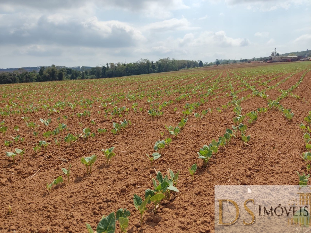 Fazenda em São Miguel Arcanjo/São Paulo — Ref 9B28JO — Imagem 14