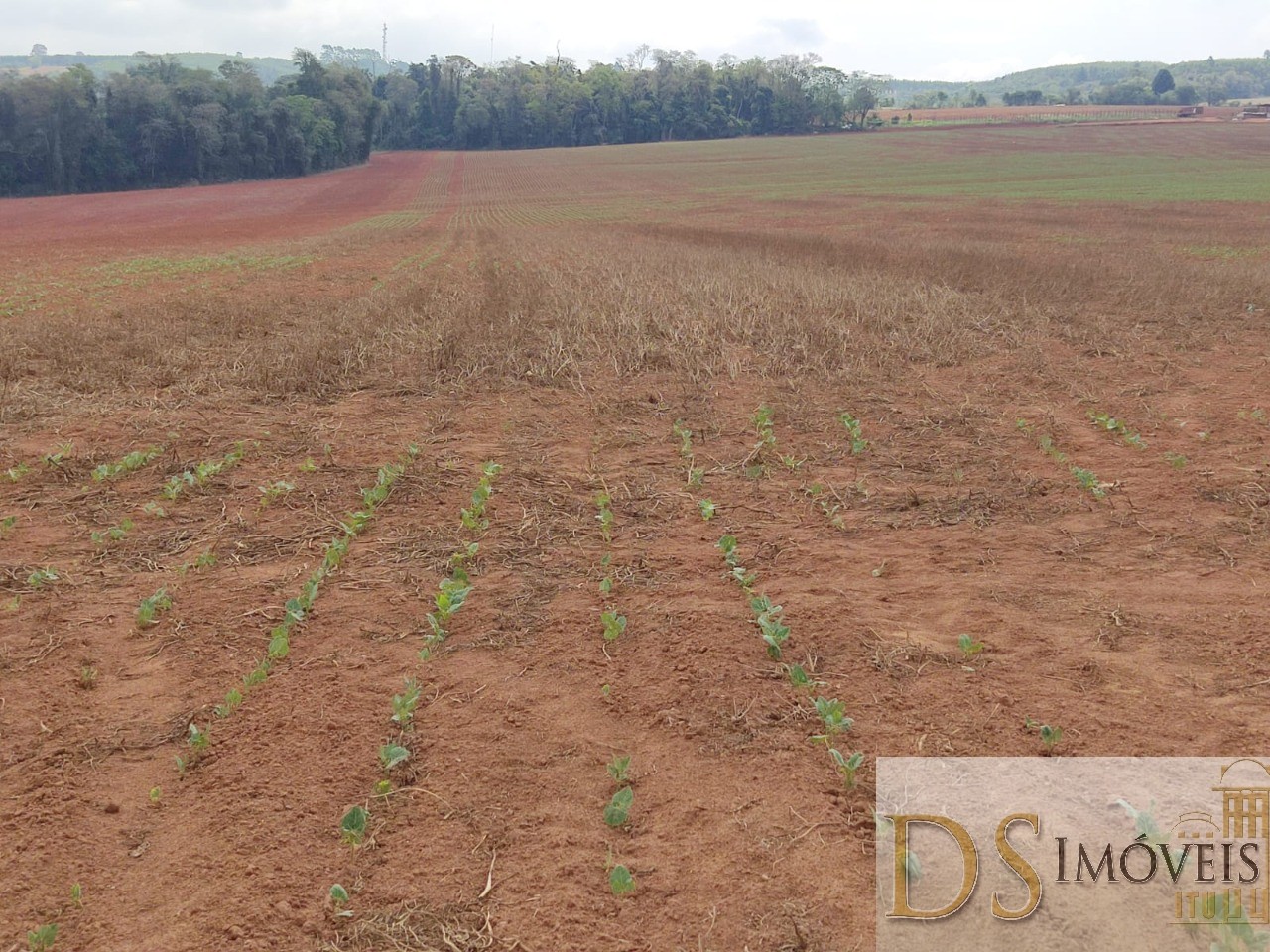 Fazenda em São Miguel Arcanjo/São Paulo — Ref 9B28JO — Imagem 4