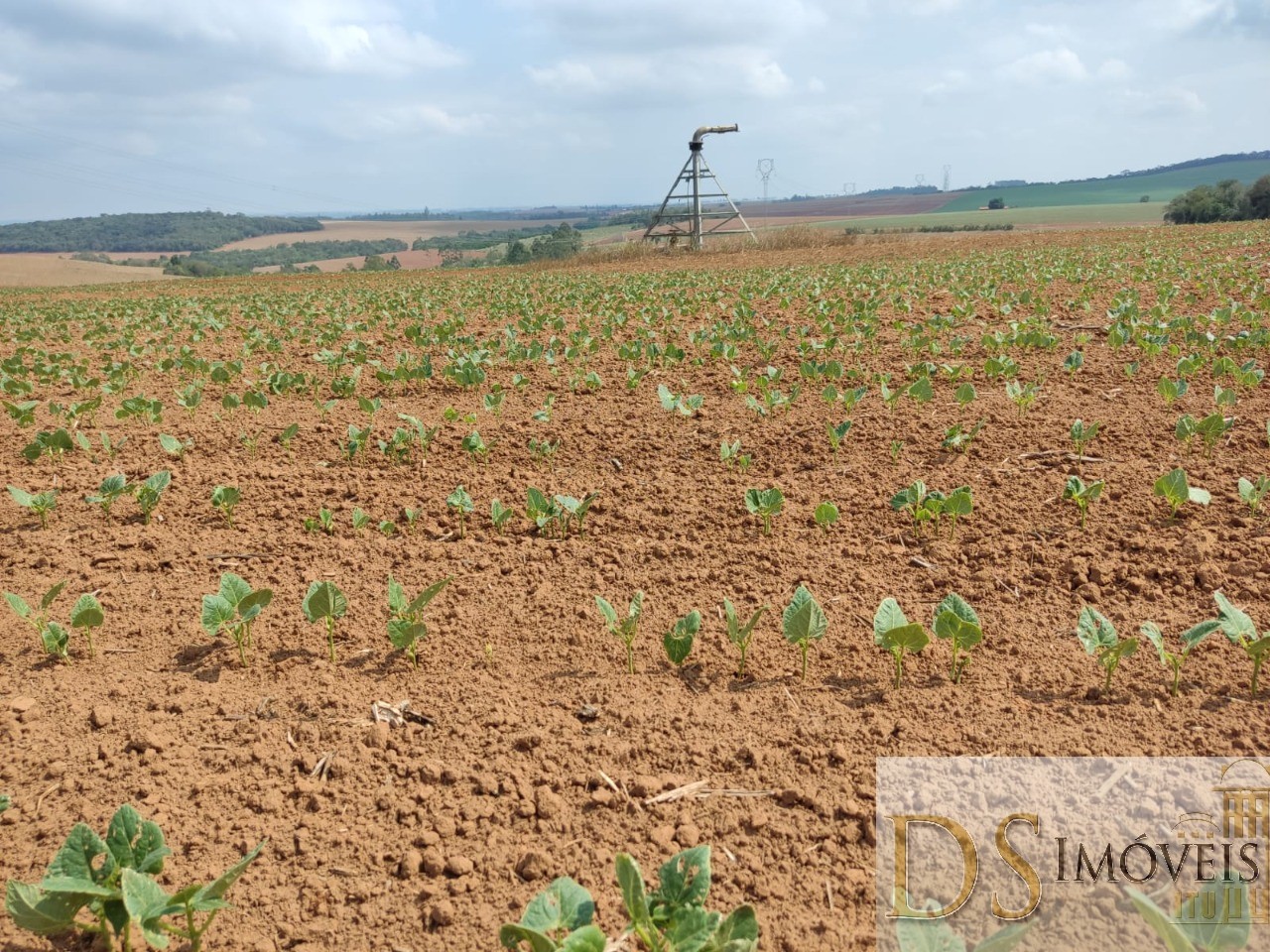 Fazenda em São Miguel Arcanjo/São Paulo — Ref 9B28JO — Imagem 15