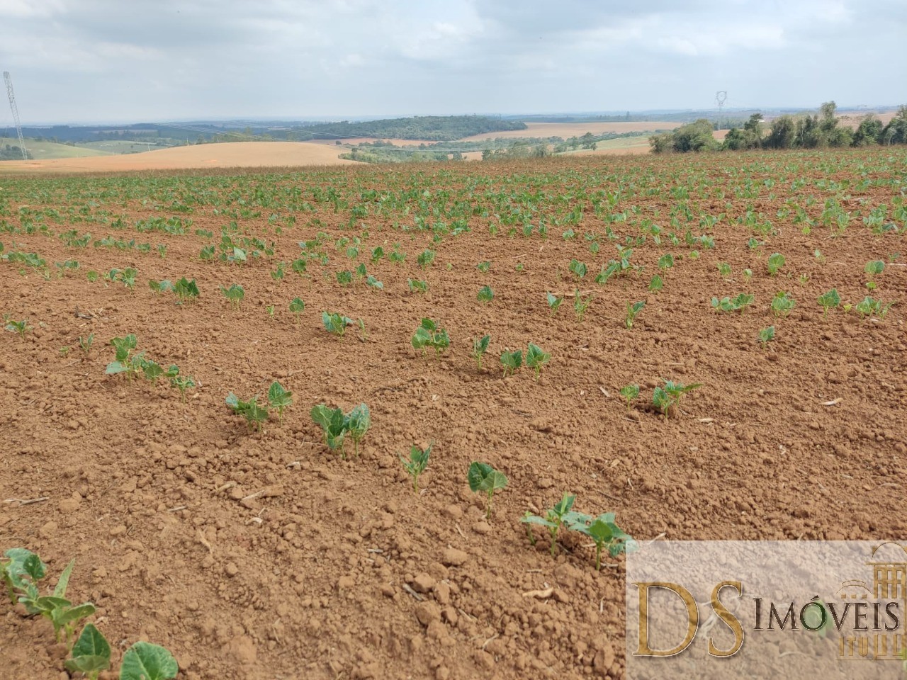 Fazenda em São Miguel Arcanjo/São Paulo — Ref 9B28JO — Imagem 19