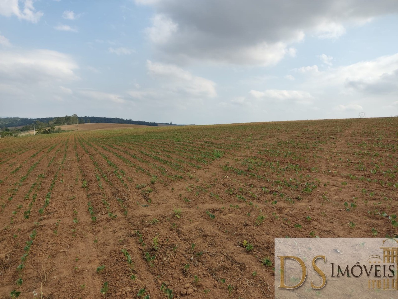 Fazenda em São Miguel Arcanjo/São Paulo — Ref 9B28JO — Imagem 6