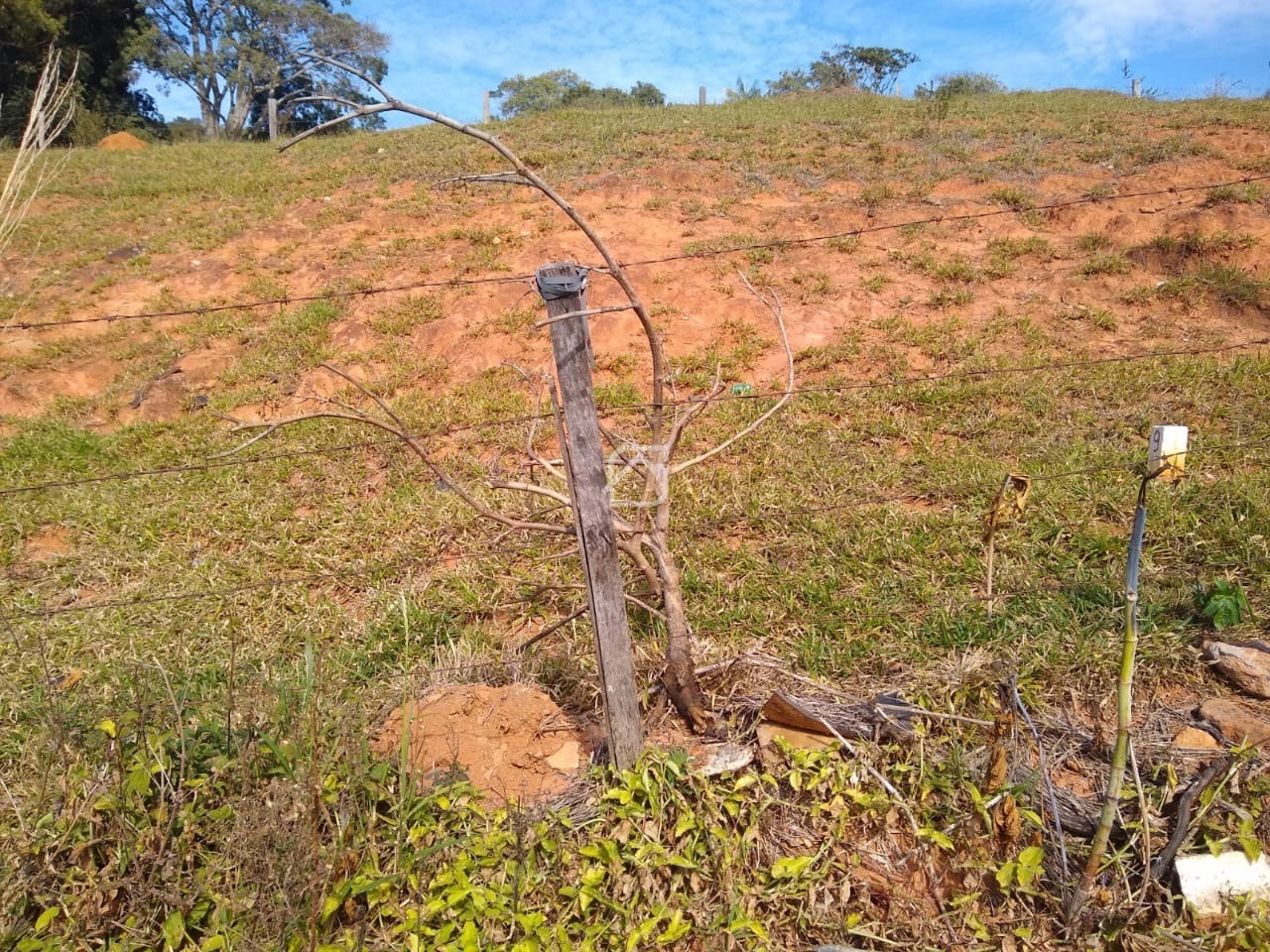 Terreno à venda, 200m² - Foto 2