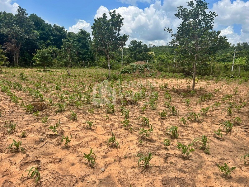 Sítio à venda com 3 quartos, 20000m² - Foto 3