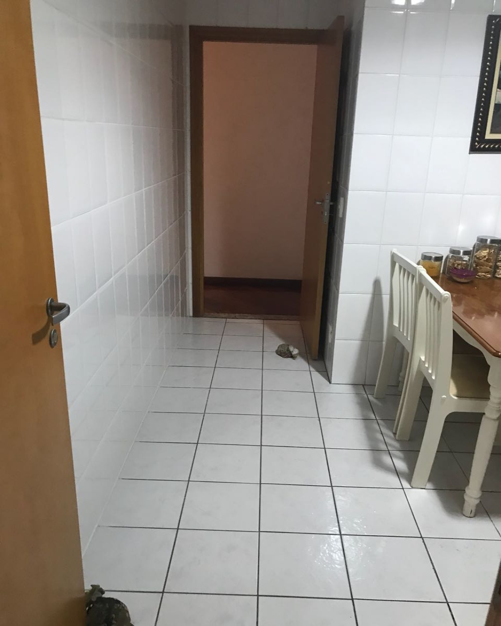 Apartamento à venda com 3 quartos, 171m² - Foto 7