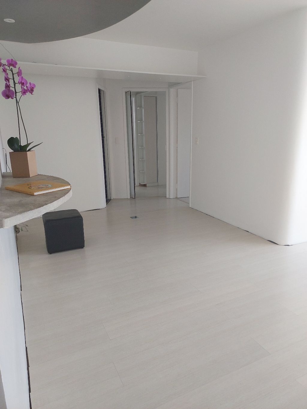 Apartamento à venda com 2 quartos, 84m² - Foto 4