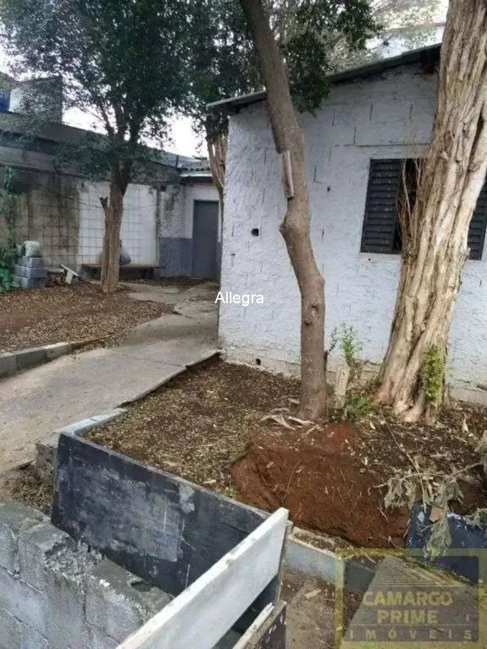 Loja-Salão, 1000 m² - Foto 7