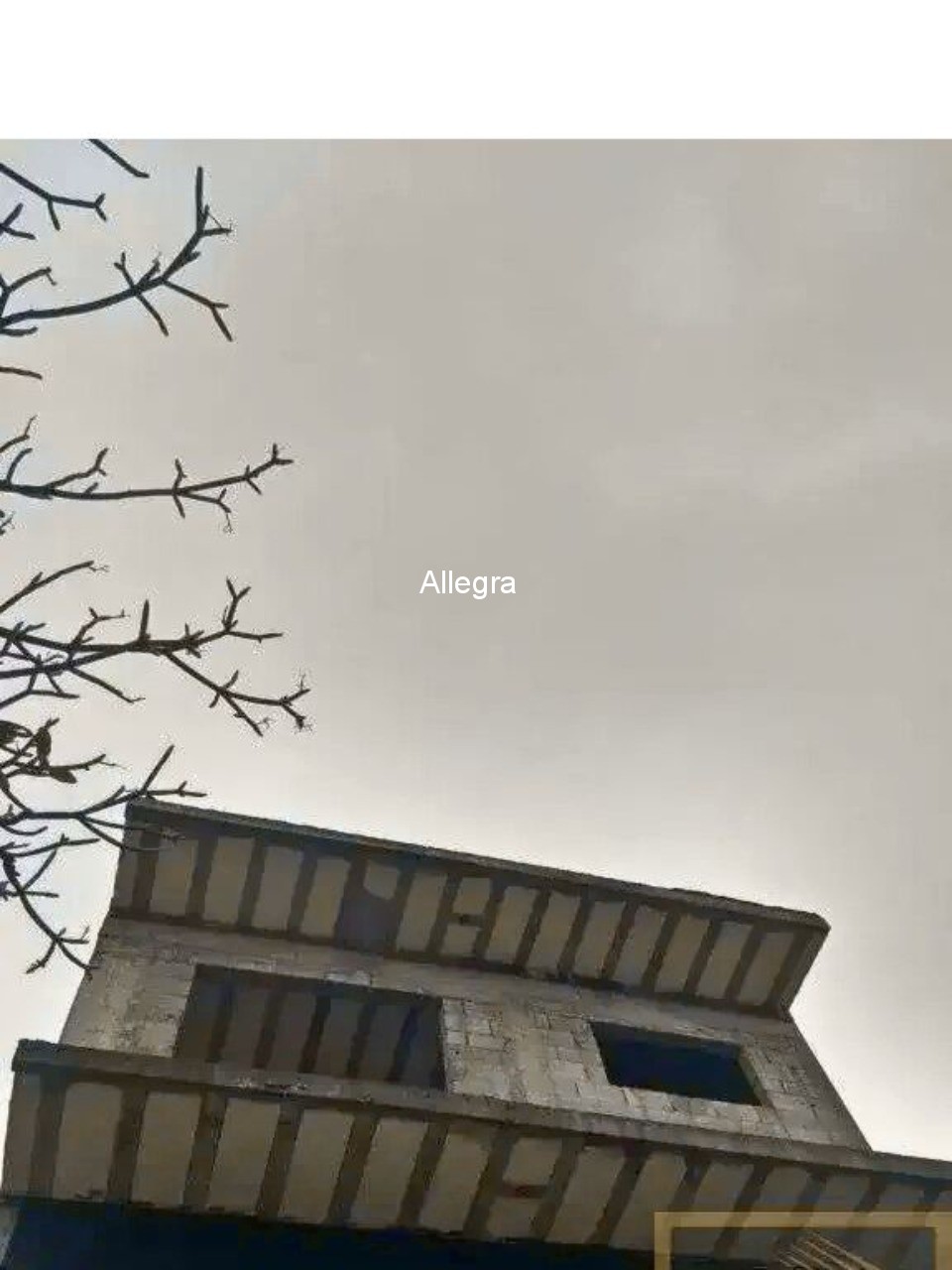 Loja-Salão, 1000 m² - Foto 2