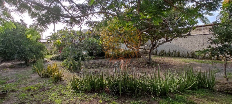 Sítio, 4 quartos, 1104 m² - Foto 13