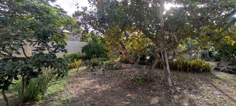Sítio, 4 quartos, 1104 m² - Foto 14