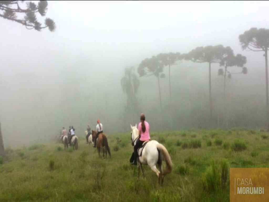 Fazenda à venda com 32 quartos, 3400m² - Foto 5