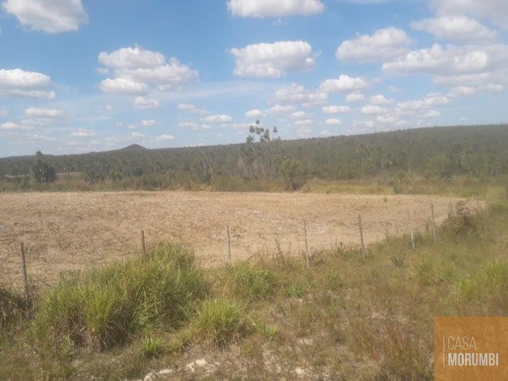 Fazenda à venda com 1 quarto, 22000000m² - Foto 10