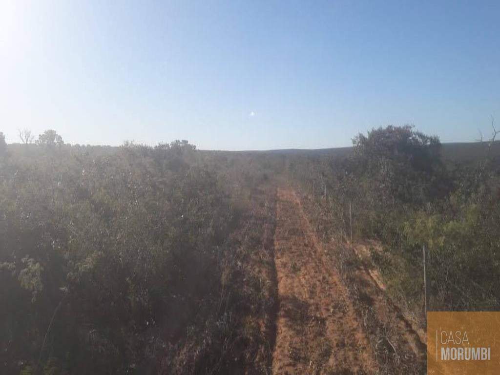 Fazenda à venda com 1 quarto, 22000000m² - Foto 2