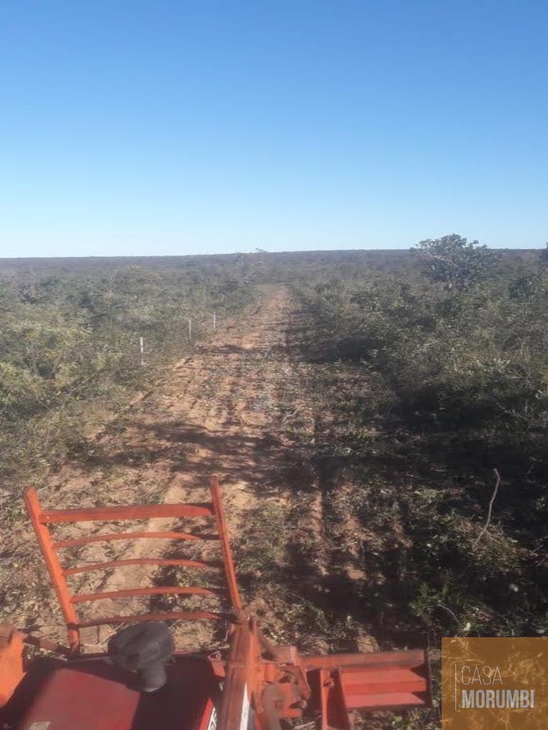 Fazenda à venda com 1 quarto, 22000000m² - Foto 7