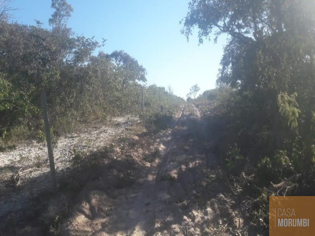 Fazenda à venda com 1 quarto, 22000000m² - Foto 11