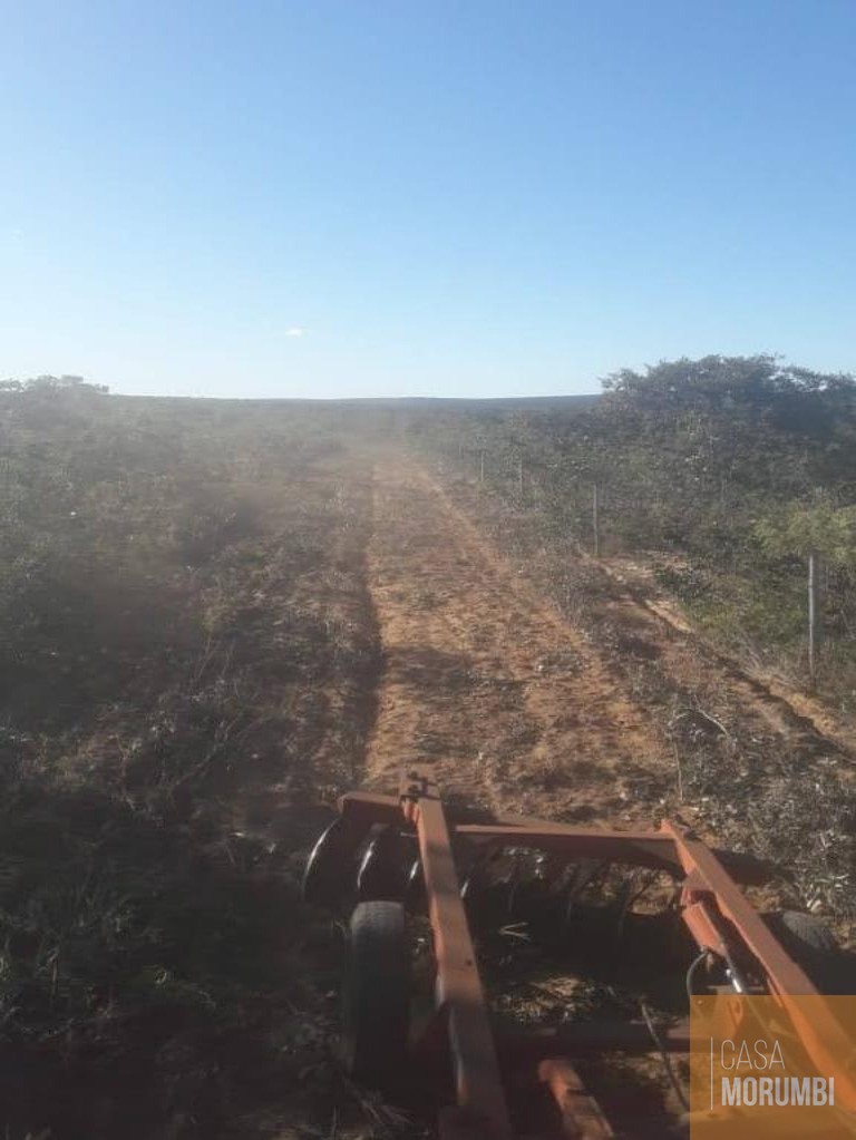 Fazenda à venda com 1 quarto, 22000000m² - Foto 8