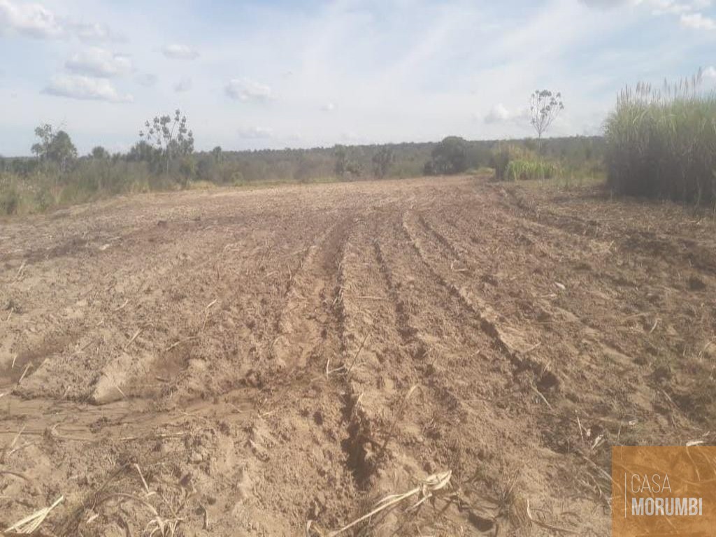 Fazenda à venda com 1 quarto, 22000000m² - Foto 3