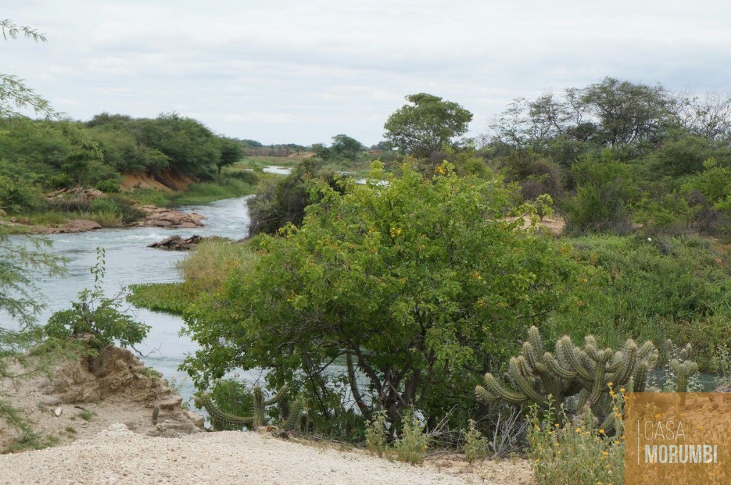 Fazenda à venda com 1 quarto, 16000m² - Foto 21