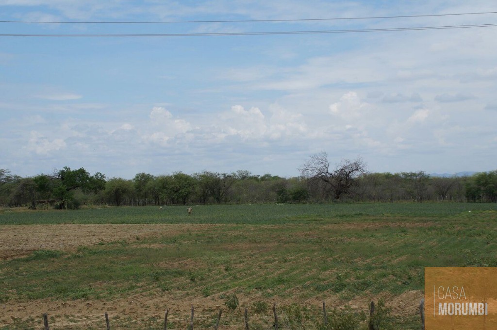 Fazenda à venda com 1 quarto, 16000m² - Foto 23