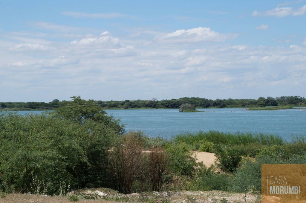 Fazenda à venda com 1 quarto, 16000m² - Foto 20