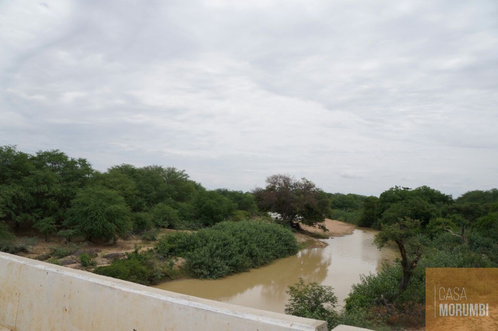 Fazenda à venda com 1 quarto, 16000m² - Foto 14