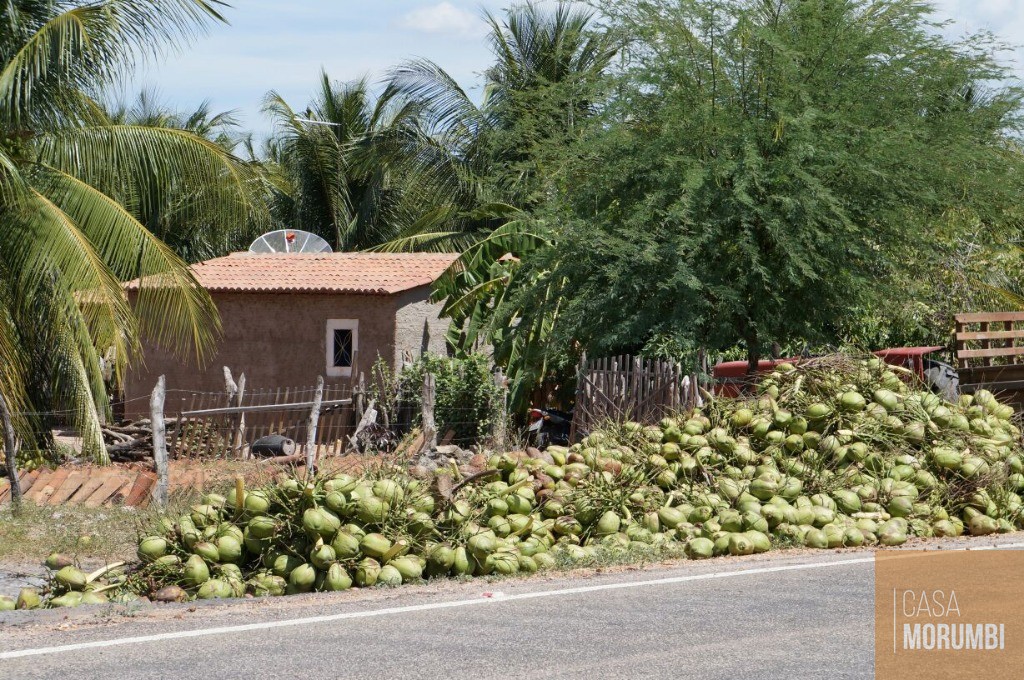 Fazenda à venda com 1 quarto, 16000m² - Foto 11