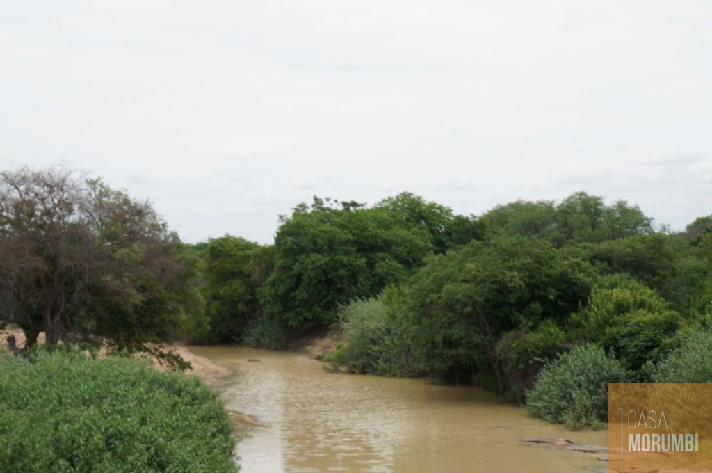 Fazenda à venda com 1 quarto, 16000m² - Foto 18