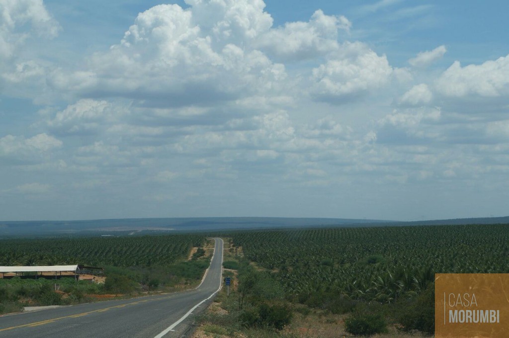 Fazenda à venda com 1 quarto, 16000m² - Foto 10