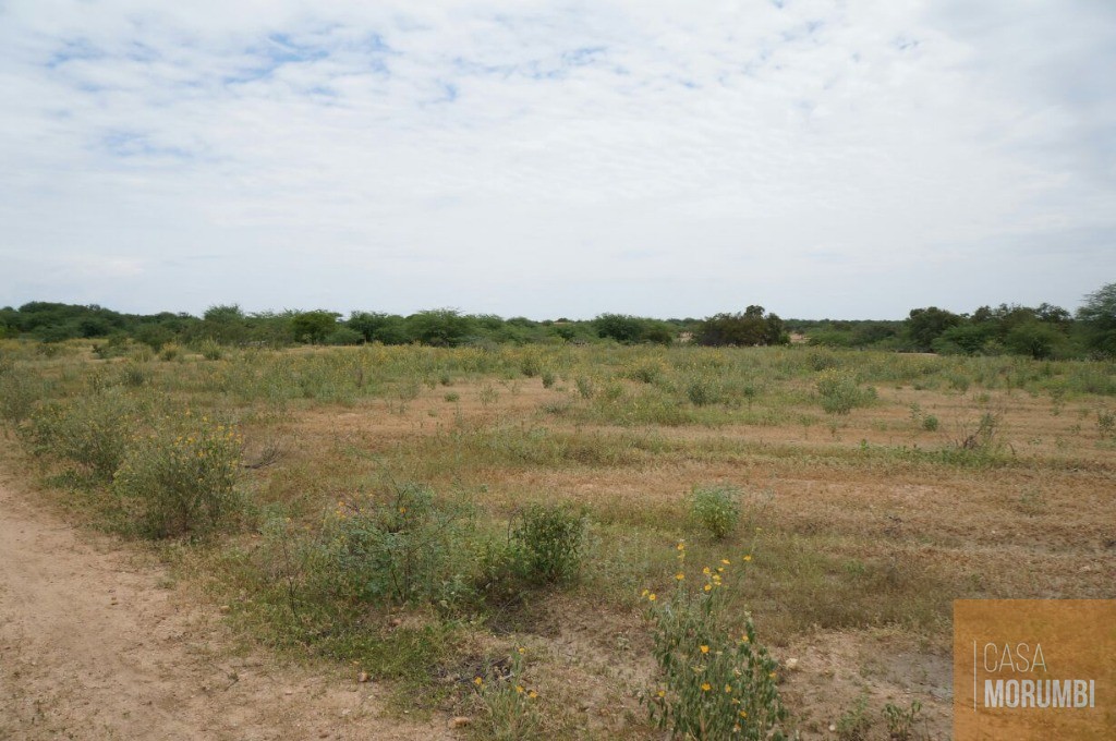 Fazenda à venda com 1 quarto, 16000m² - Foto 16