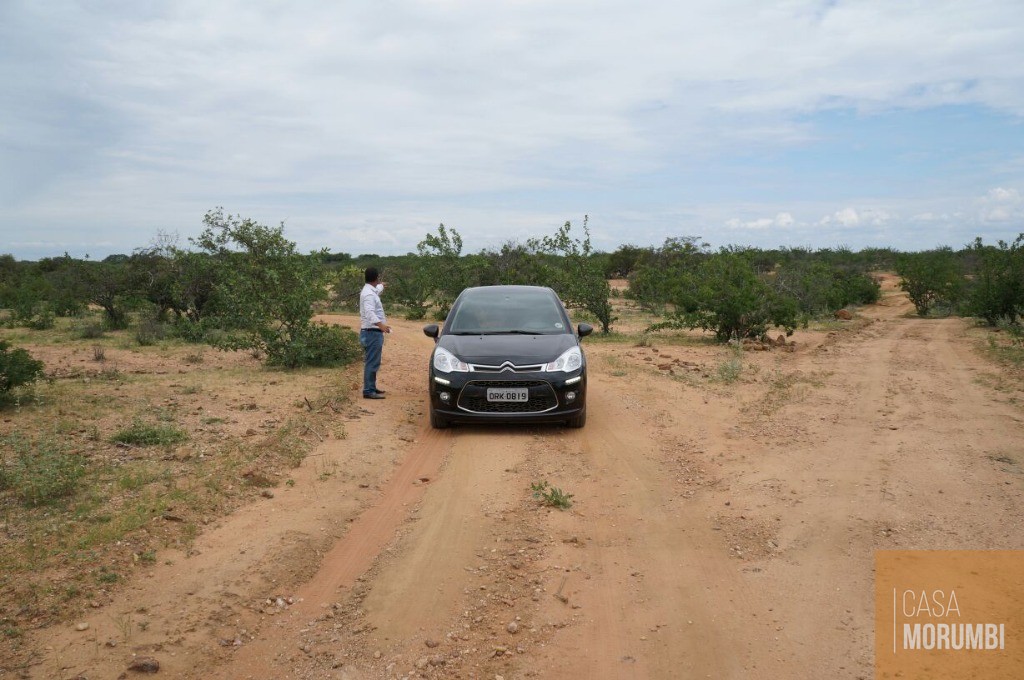 Fazenda à venda com 1 quarto, 16000m² - Foto 13