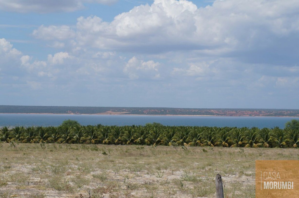 Fazenda à venda com 1 quarto, 16000m² - Foto 7