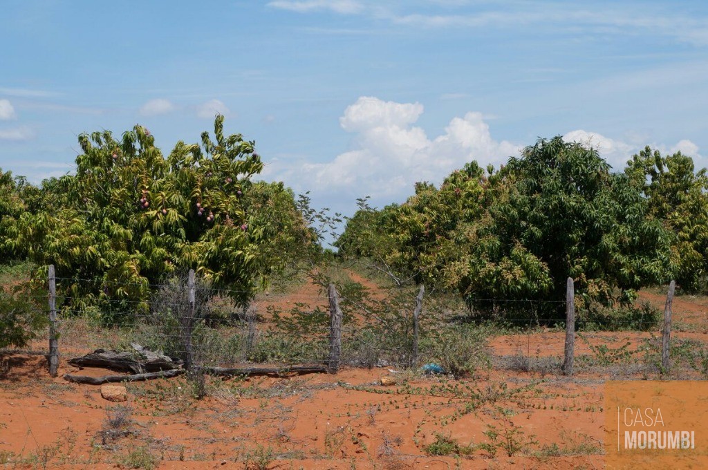 Fazenda à venda com 1 quarto, 16000m² - Foto 9