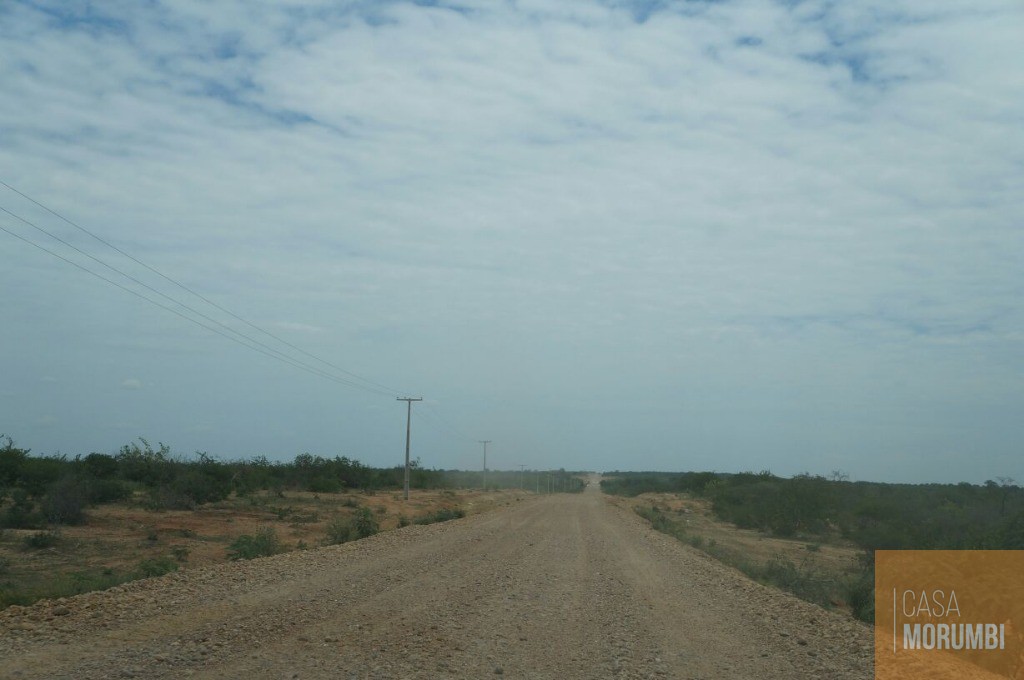 Fazenda à venda com 1 quarto, 16000m² - Foto 15