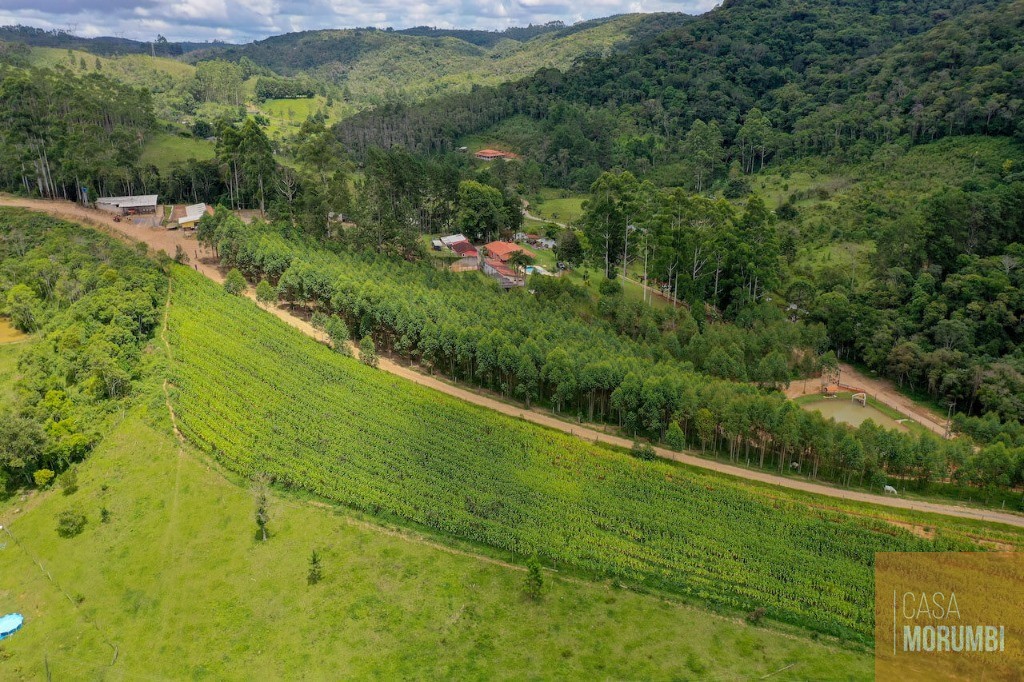 Fazenda à venda com 9 quartos, 110m² - Foto 4