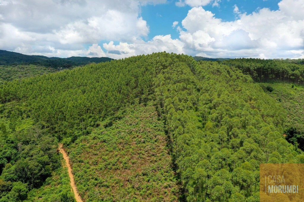 Fazenda à venda com 9 quartos, 110m² - Foto 7