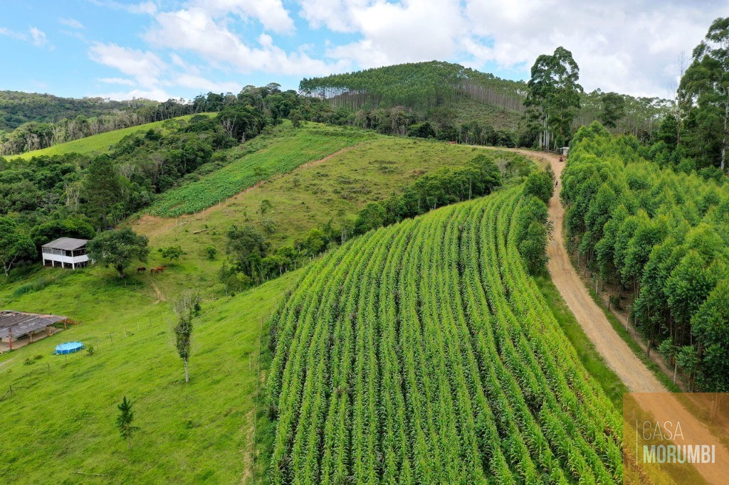 Fazenda à venda com 9 quartos, 110m² - Foto 3