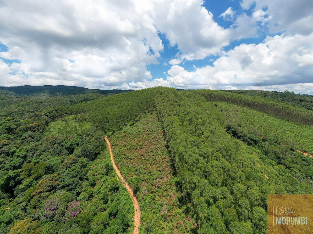 Fazenda à venda com 9 quartos, 110m² - Foto 8