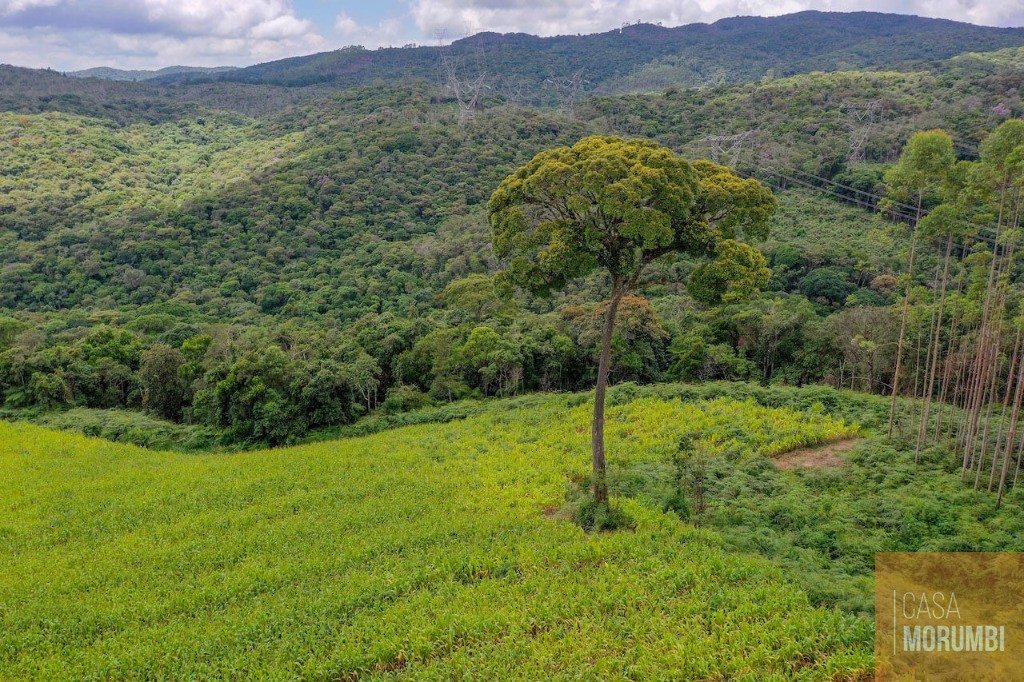 Fazenda à venda com 9 quartos, 110m² - Foto 6