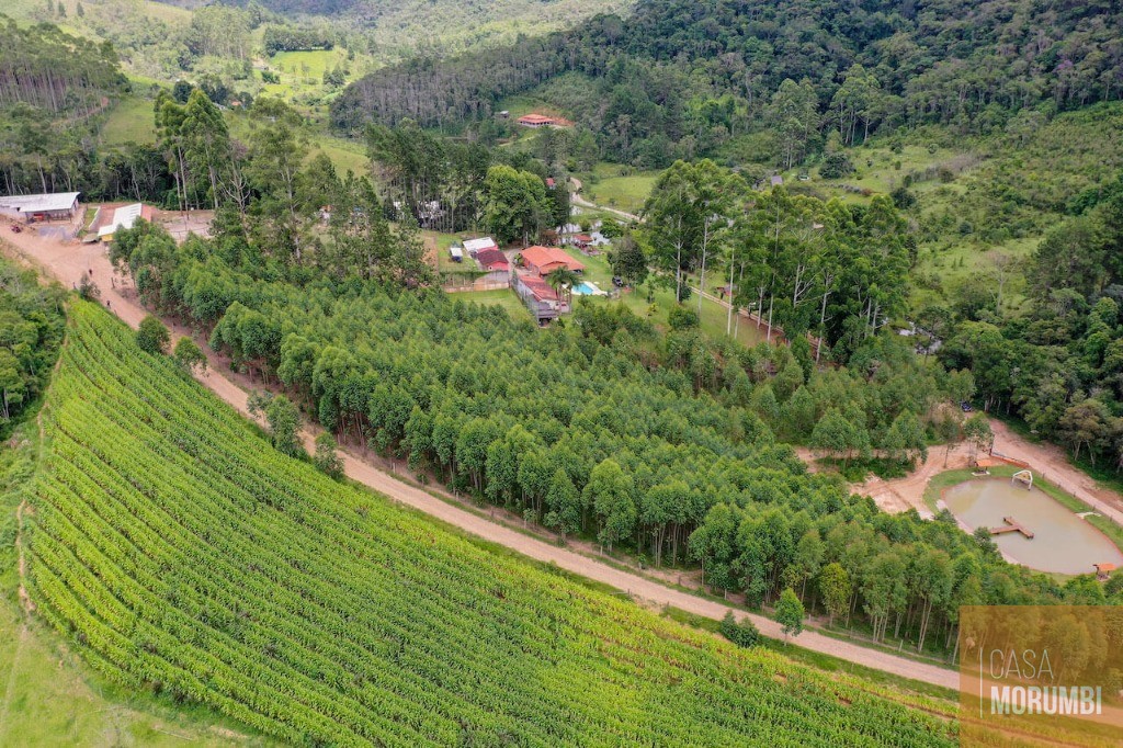 Fazenda à venda com 9 quartos, 110m² - Foto 5