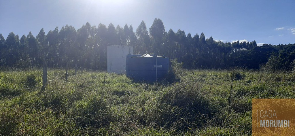 Fazenda à venda com 6 quartos, 69m² - Foto 14