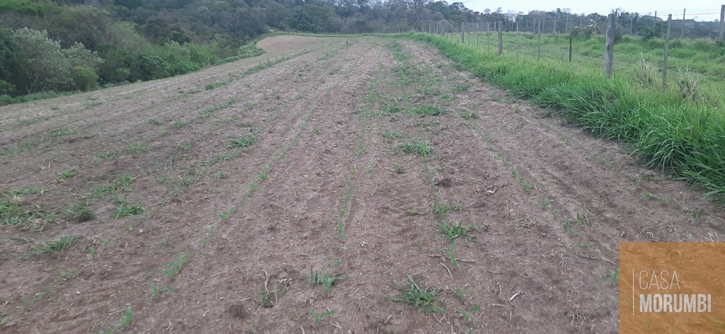 Fazenda à venda com 6 quartos, 69m² - Foto 12