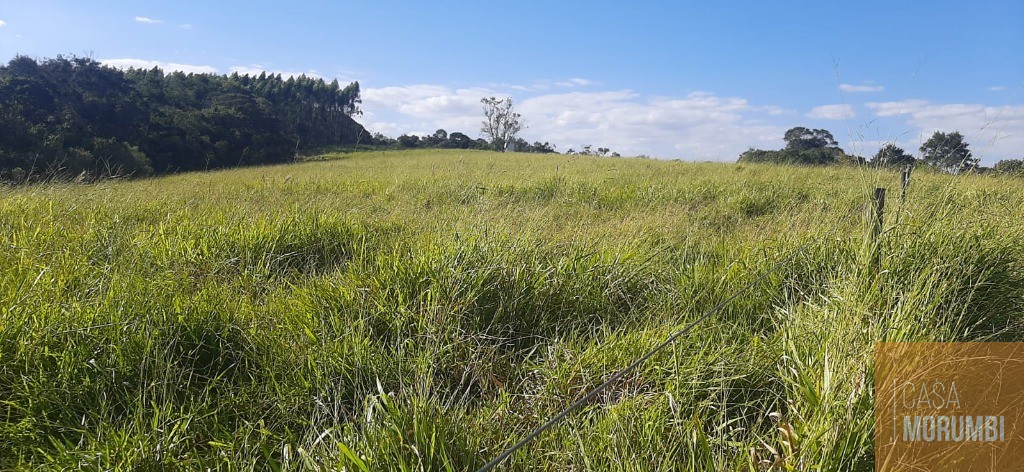 Fazenda à venda com 6 quartos, 69m² - Foto 9