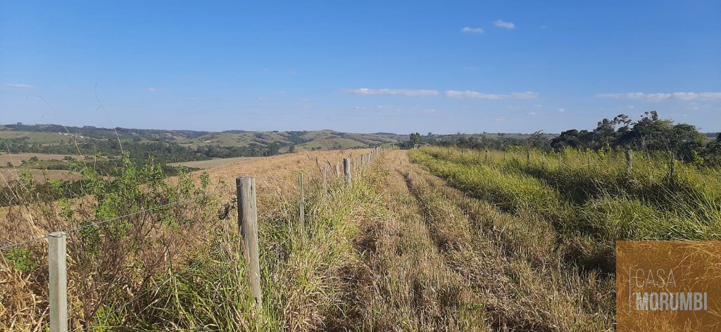 Fazenda à venda com 6 quartos, 69m² - Foto 11