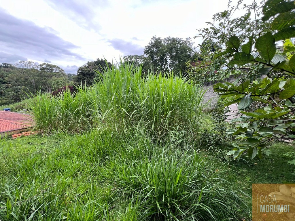 Chácara à venda com 4 quartos, 2000m² - Foto 29