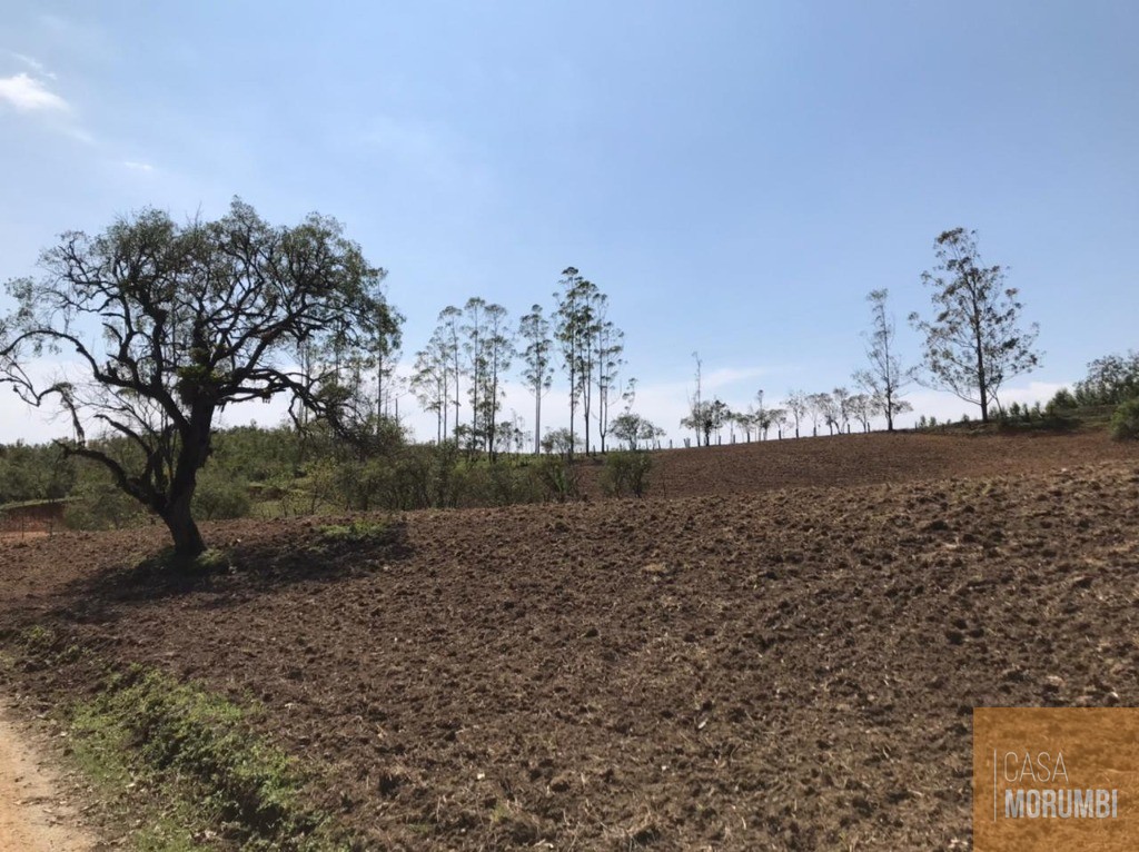 Fazenda à venda com 2 quartos, 92000m² - Foto 15